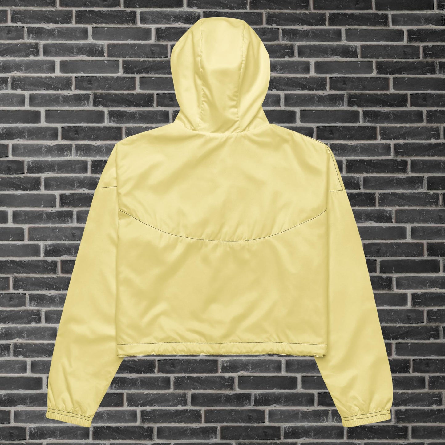 GHOST THE WORLD windbreaker